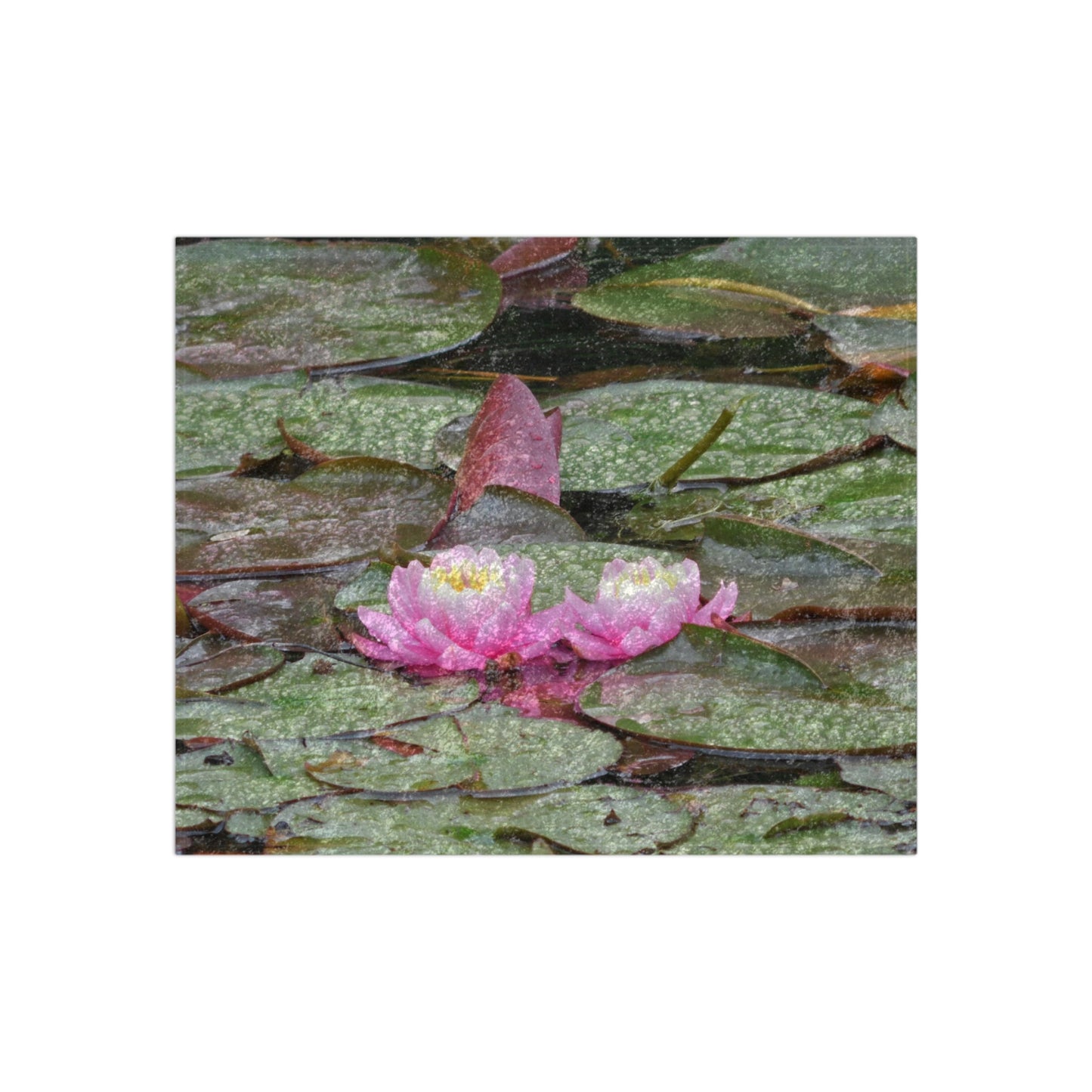 Water Lilies Crushed Velvet Blanket