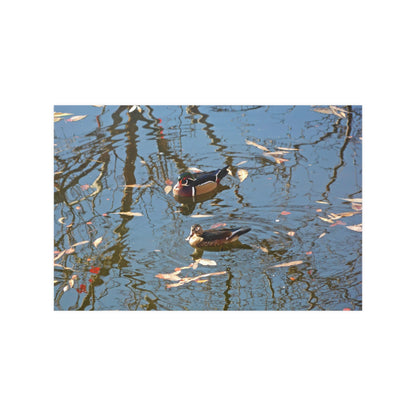 Wood Duck Couple Satin Posters