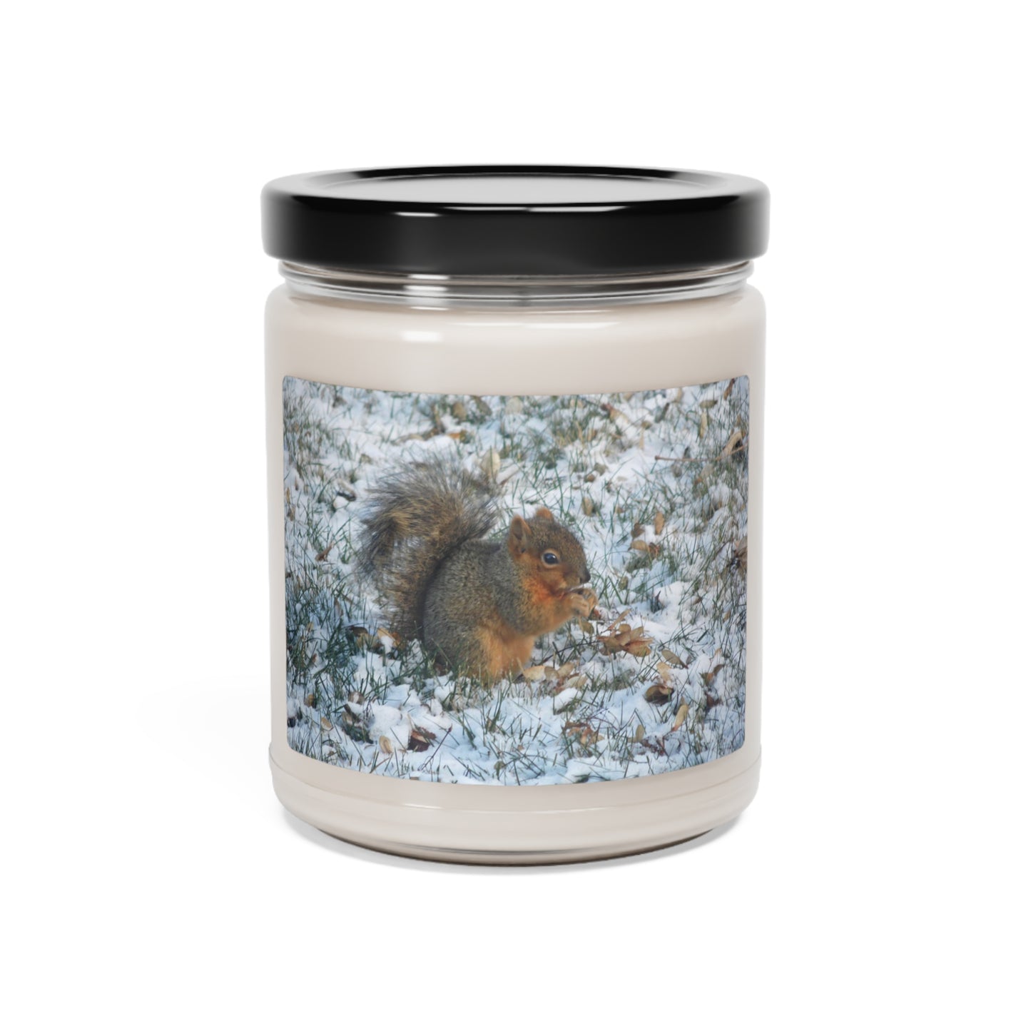Winter Squirrel Scented Soy Candle, 9oz