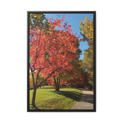 Autumn Glow Gallery Canvas Wraps Framed