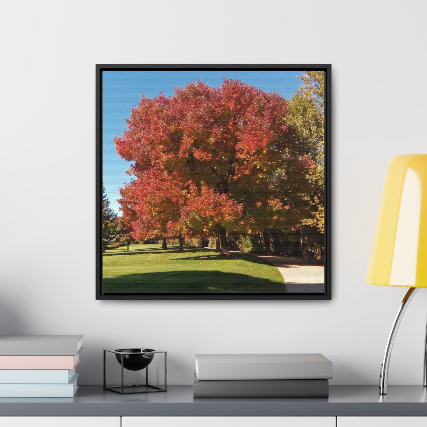 Autumn Tree Early Fall Gallery Canvas Wraps, Square Framed