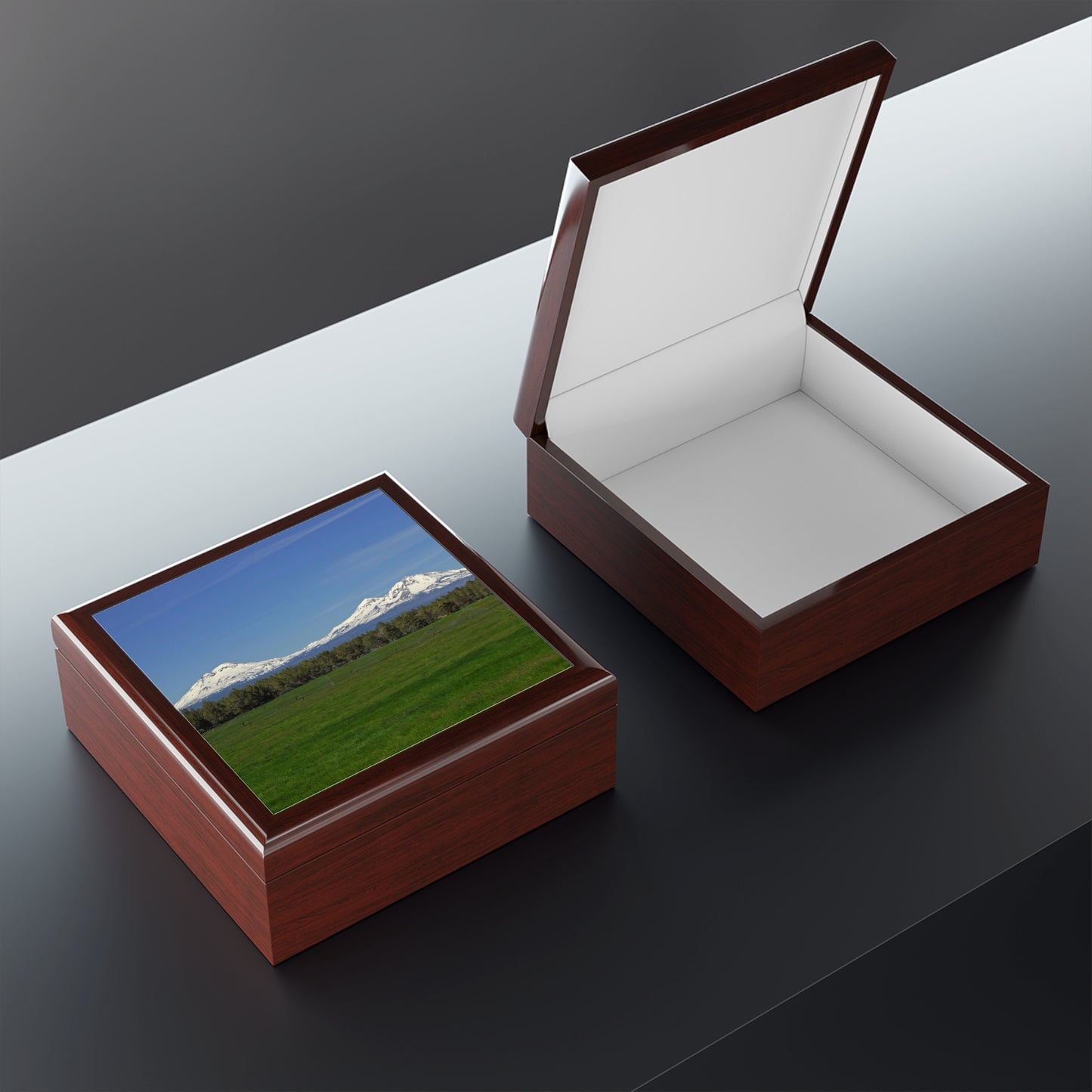 Mountain Field Jewelry Box ~ 7.24"