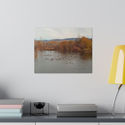 Autumn Pond with Geese Matte Canvas