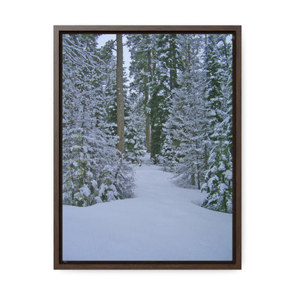 Snowy Woods Gallery Canvas Wraps Framed
