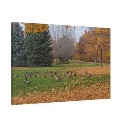 Autumn Geese Matte Canvas