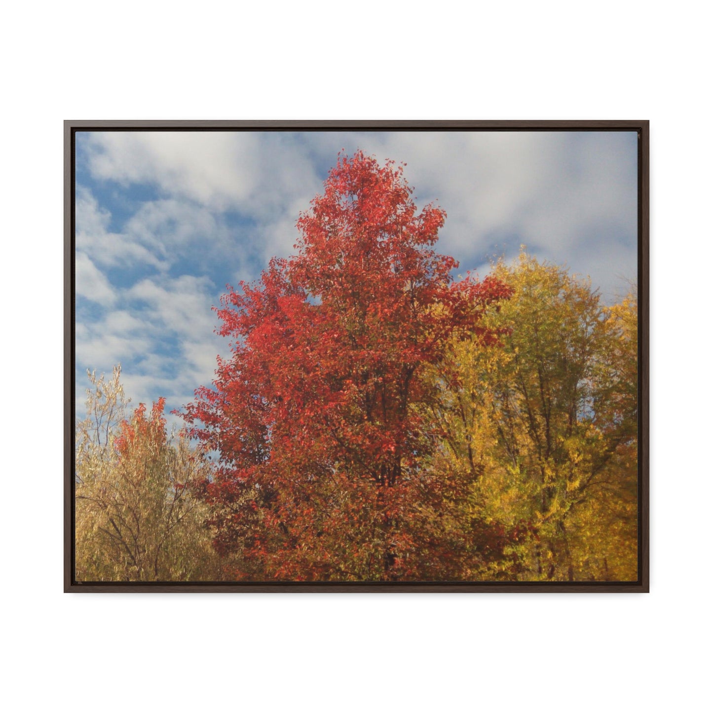 Autumn Sky Gallery Canvas Wraps Framed