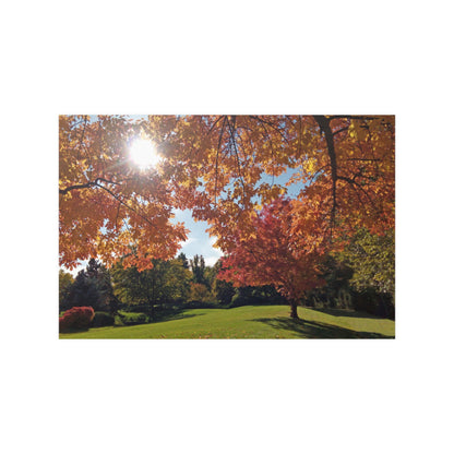 Autumn Light Satin Posters