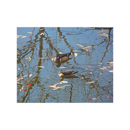 Wood Duck Couple Satin Posters