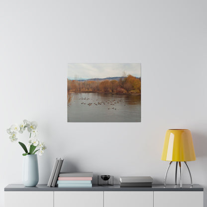 Autumn Pond with Geese Matte Canvas