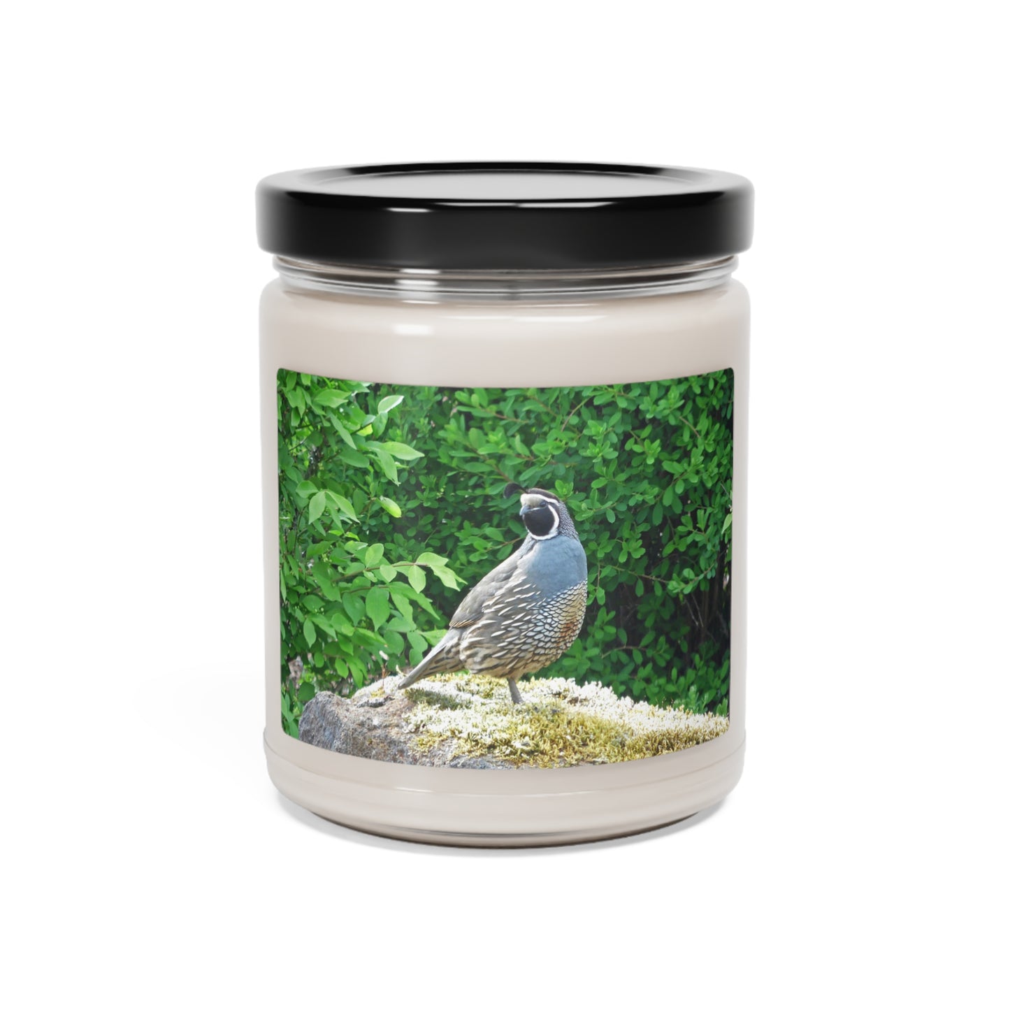 Regal Quail Scented Soy Candle, 9oz