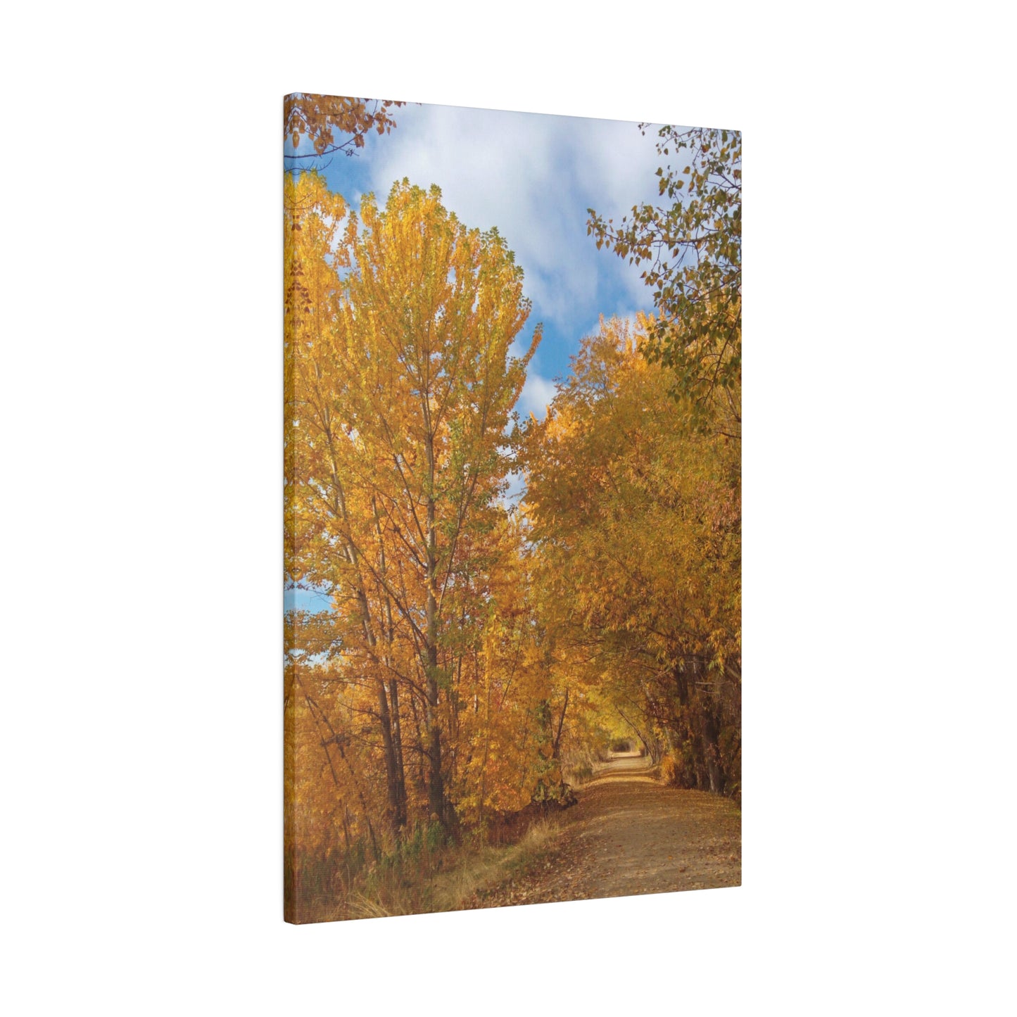 Autumn Trail Matte Canvas