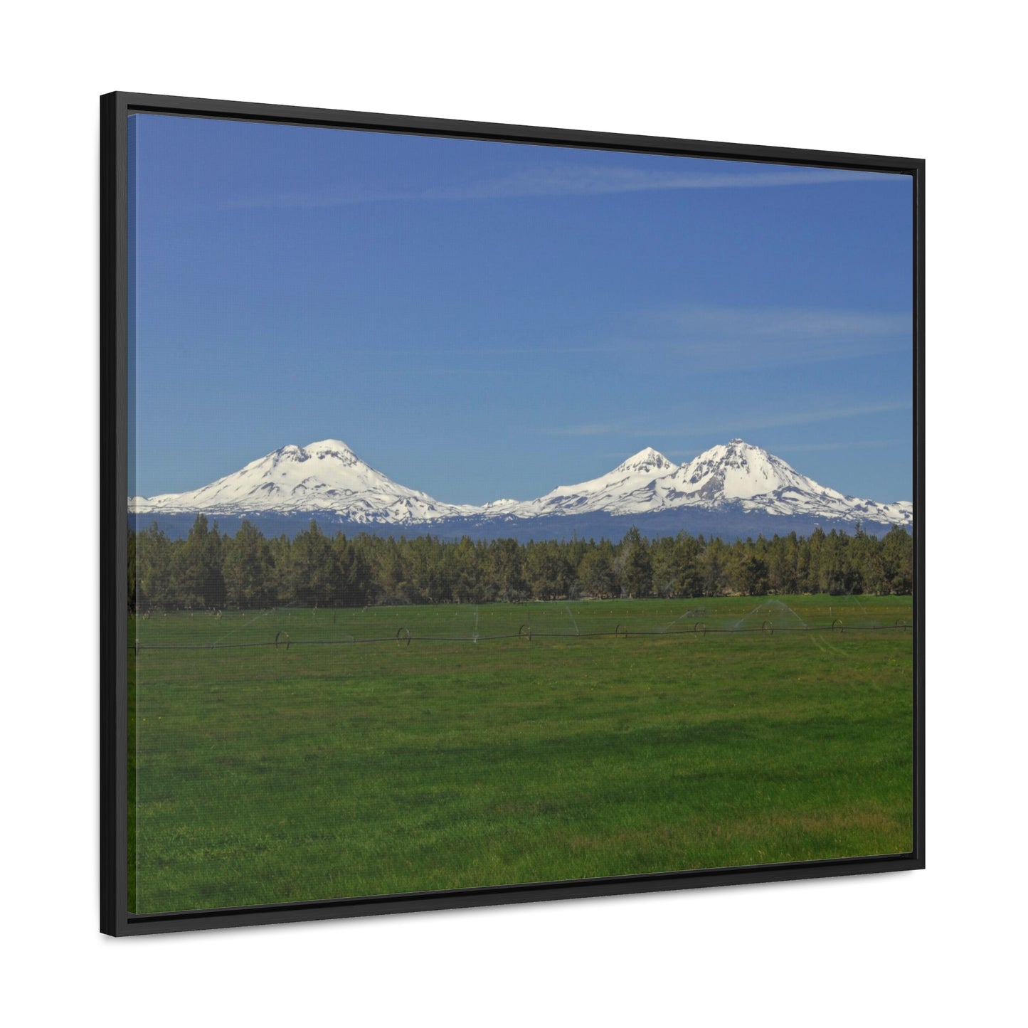 Mountain Field Gallery Canvas Wraps Framed