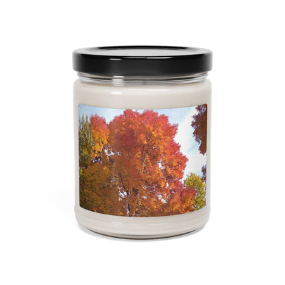 Autumn Radiance Scented Soy Candle, 9oz