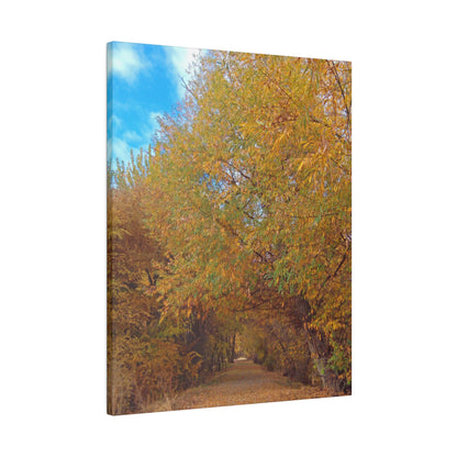 Autumn Path Matte Canvas