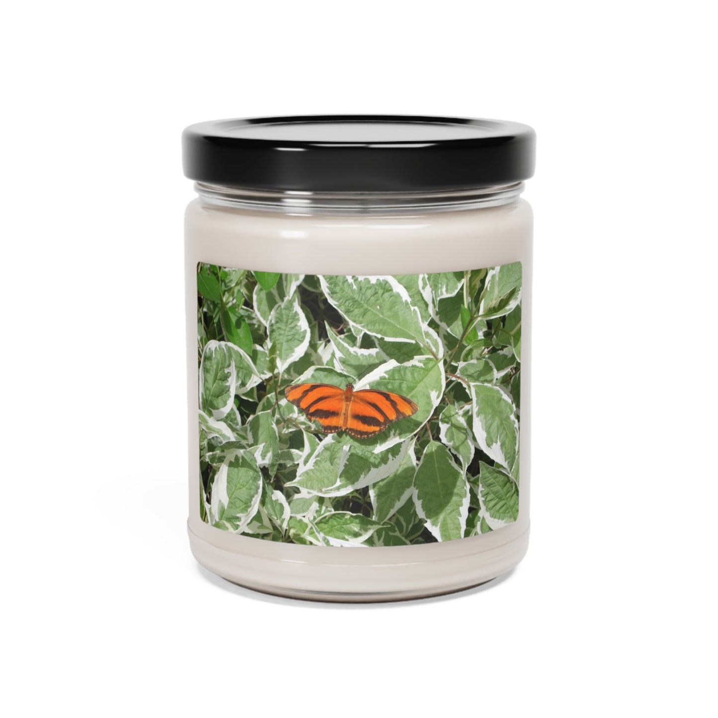 Leaves & Butterfly Scented Soy Candle, 9oz