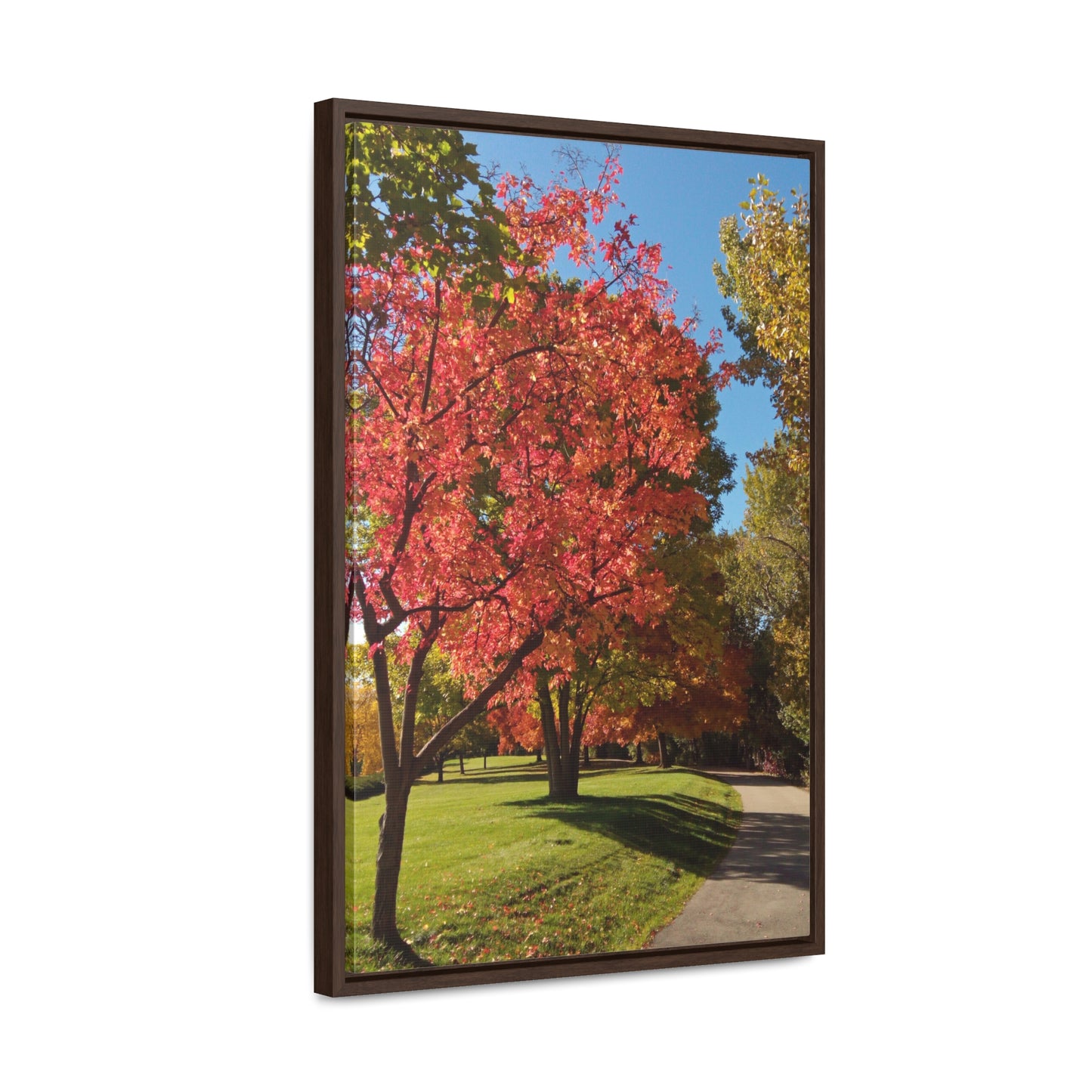 Autumn Glow Gallery Canvas Wraps Framed