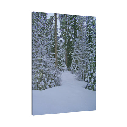 Snowy Woods Matte Canvas