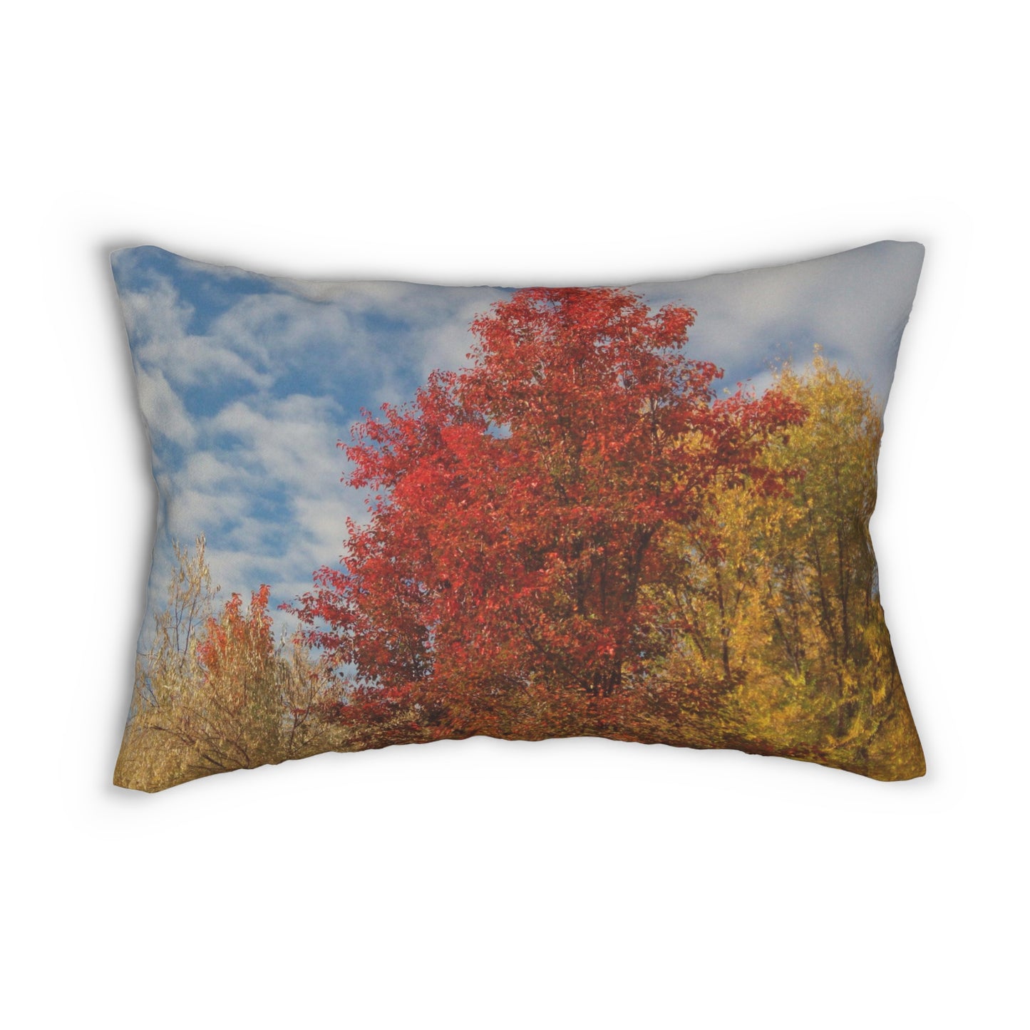 Autumn Sky Spun Polyester Lumbar Pillow