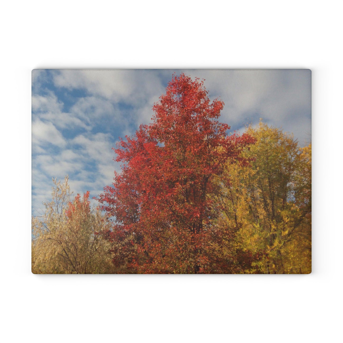 Autumn Sky Glass Cutting Board Hand Wash