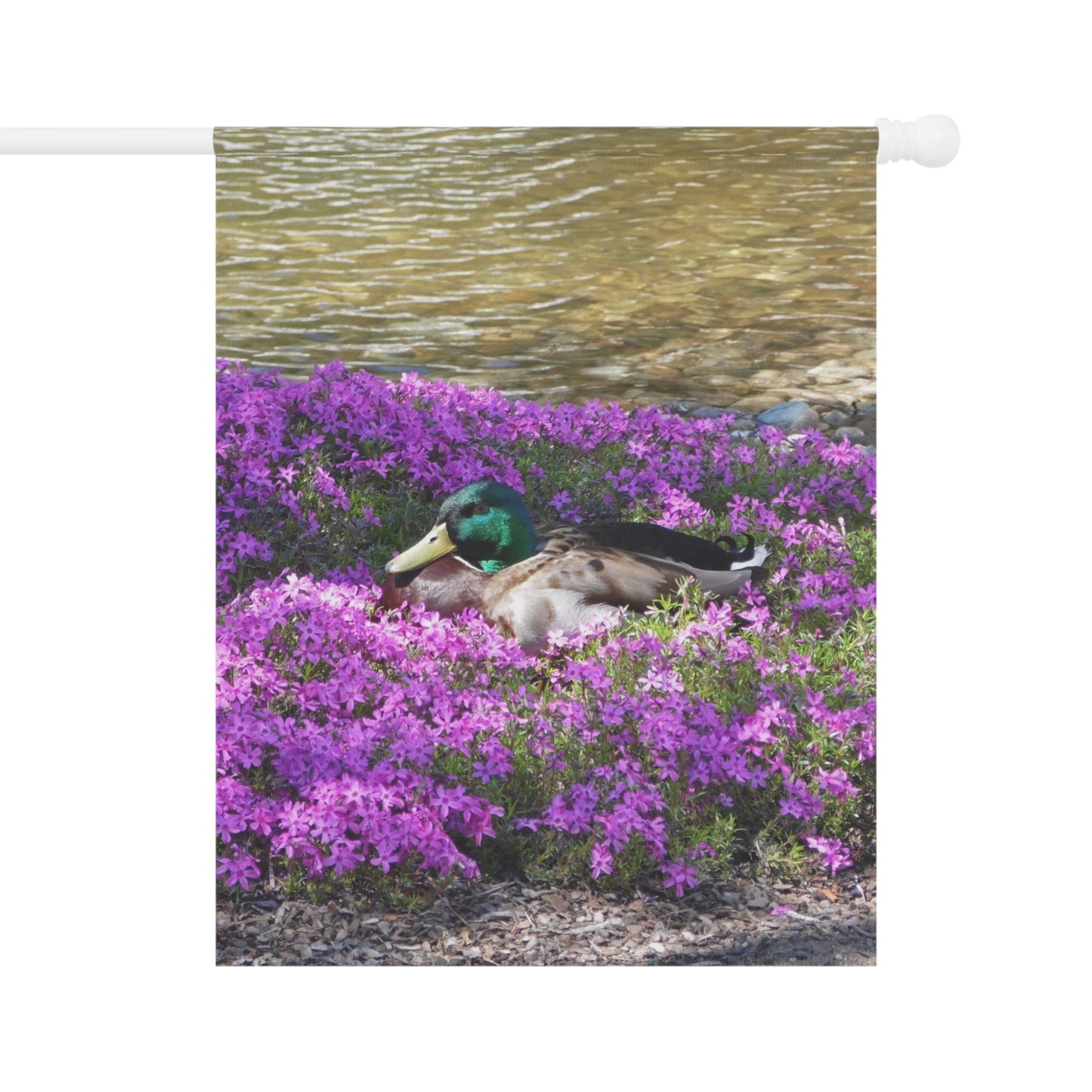 Duck Resting In Flowers Garden & House Banner