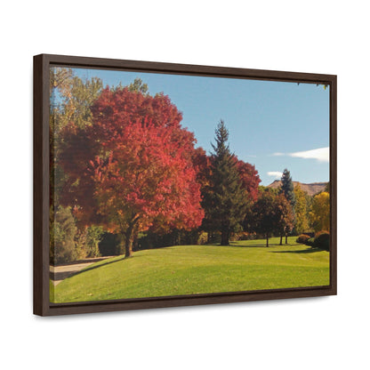 Autumn Lawn Gallery Canvas Wraps Framed