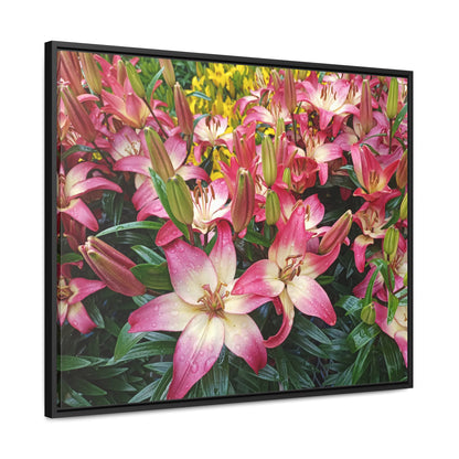 Lovely Lilies Gallery Canvas Wraps Framed