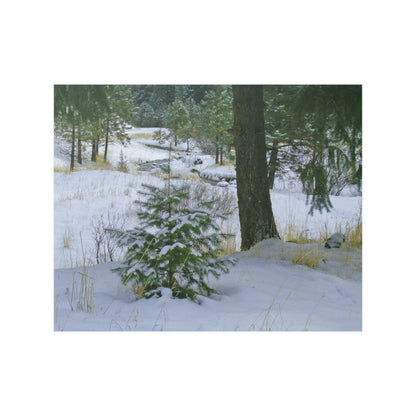 Christmas Tree Creek Satin Posters