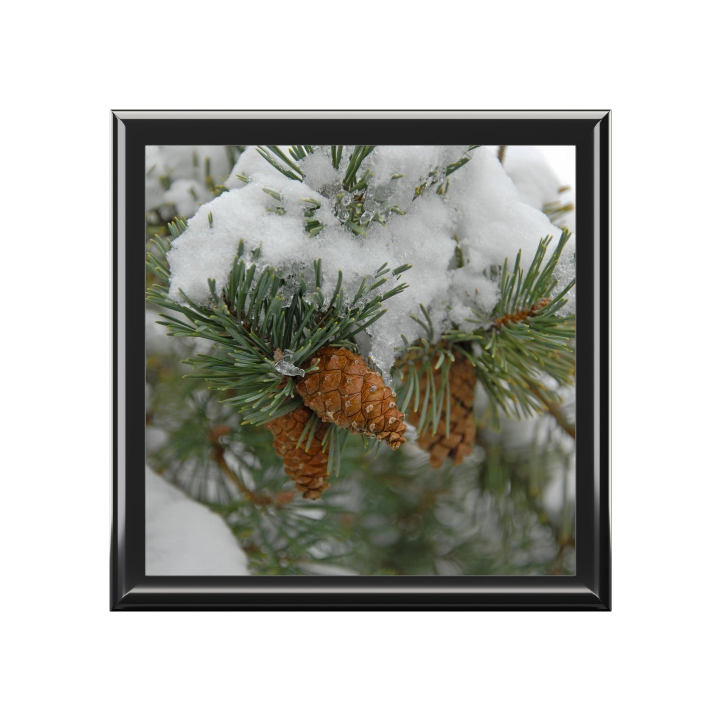 Snowy Fir Cones Jewelry Box ~ 7.24"