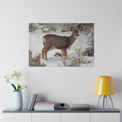 Snowy Deer Matte Canvas