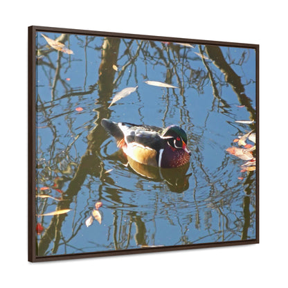 Reflections Wood Duck Gallery Canvas Wraps Framed