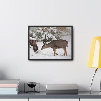 Winter Deer Gallery Canvas Wraps Framed