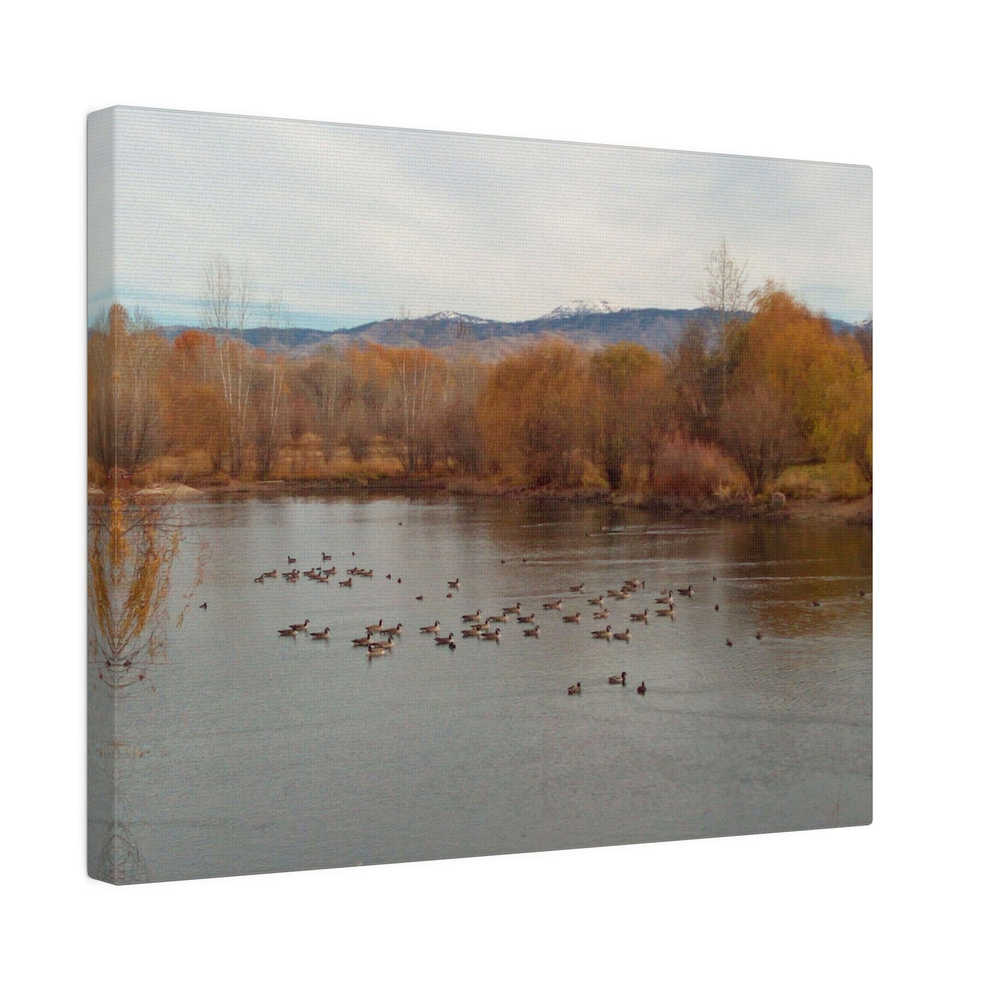 Autumn Pond with Geese Matte Canvas