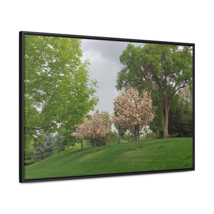 Spring In The Air Gallery Canvas Wraps Framed