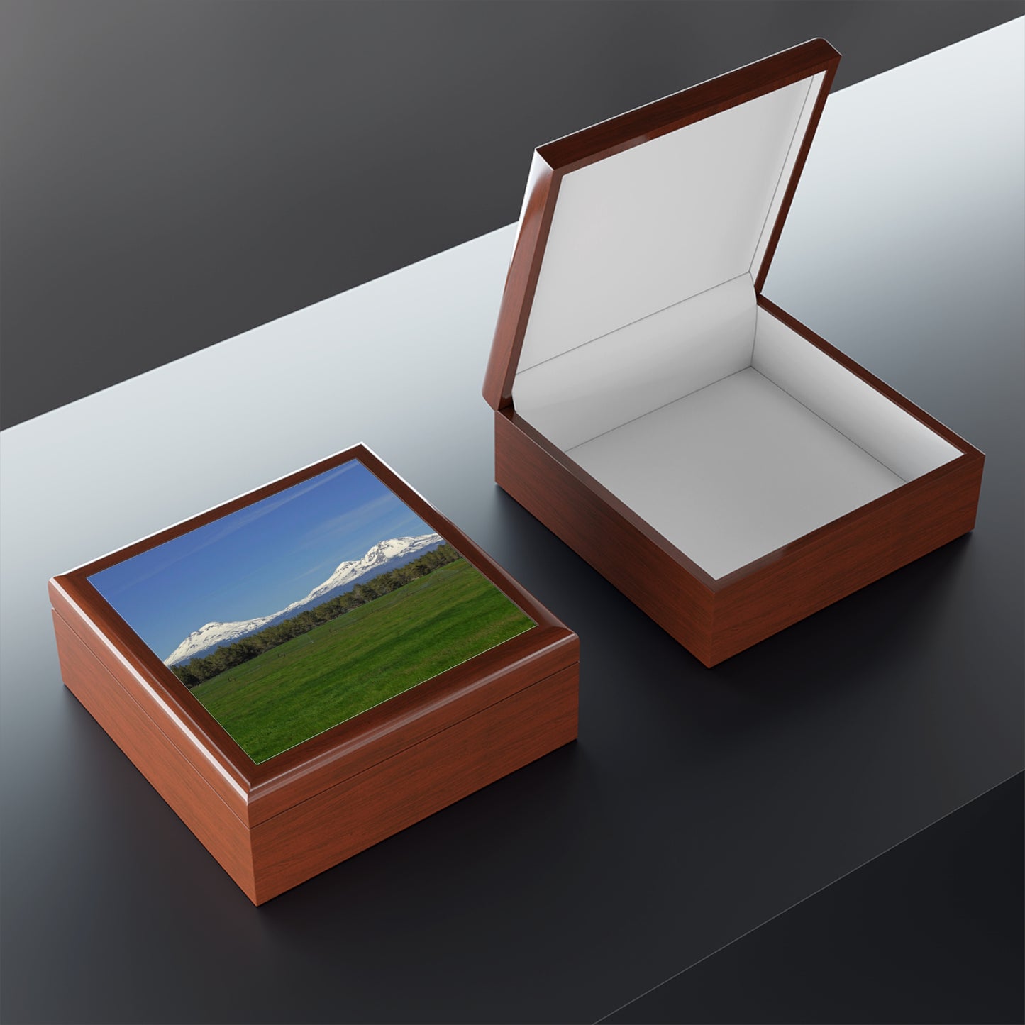 Mountain Field Jewelry Box ~ 7.24"