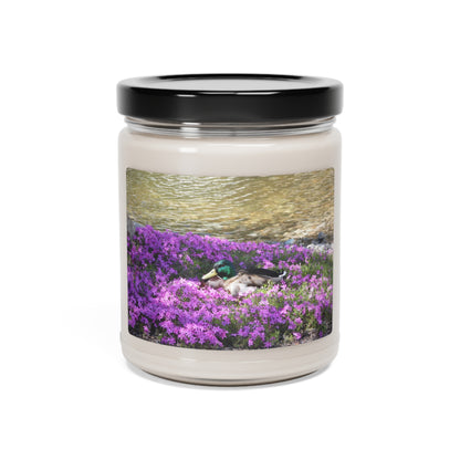 Duck Resting In Flowers Scented Soy Candle, 9oz