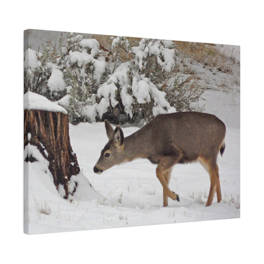 Winter Deer Matte Canvas