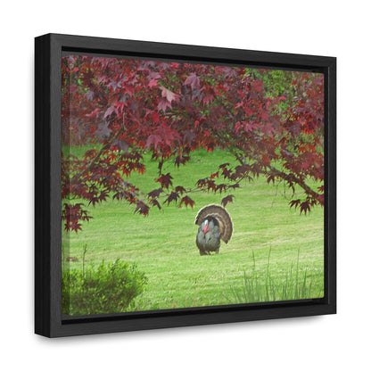 Autumn Turkey Gallery Canvas Wraps Framed