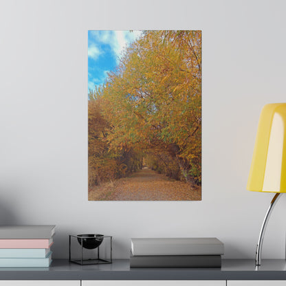 Autumn Path Matte Canvas