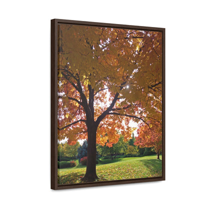Autumn Canopy Gallery Canvas Wraps Framed