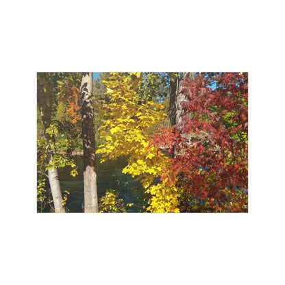 River & Autumn Leaves Satin Posters