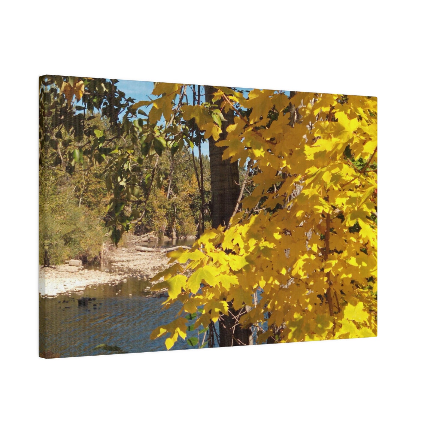 Autumn River Matte Canvas