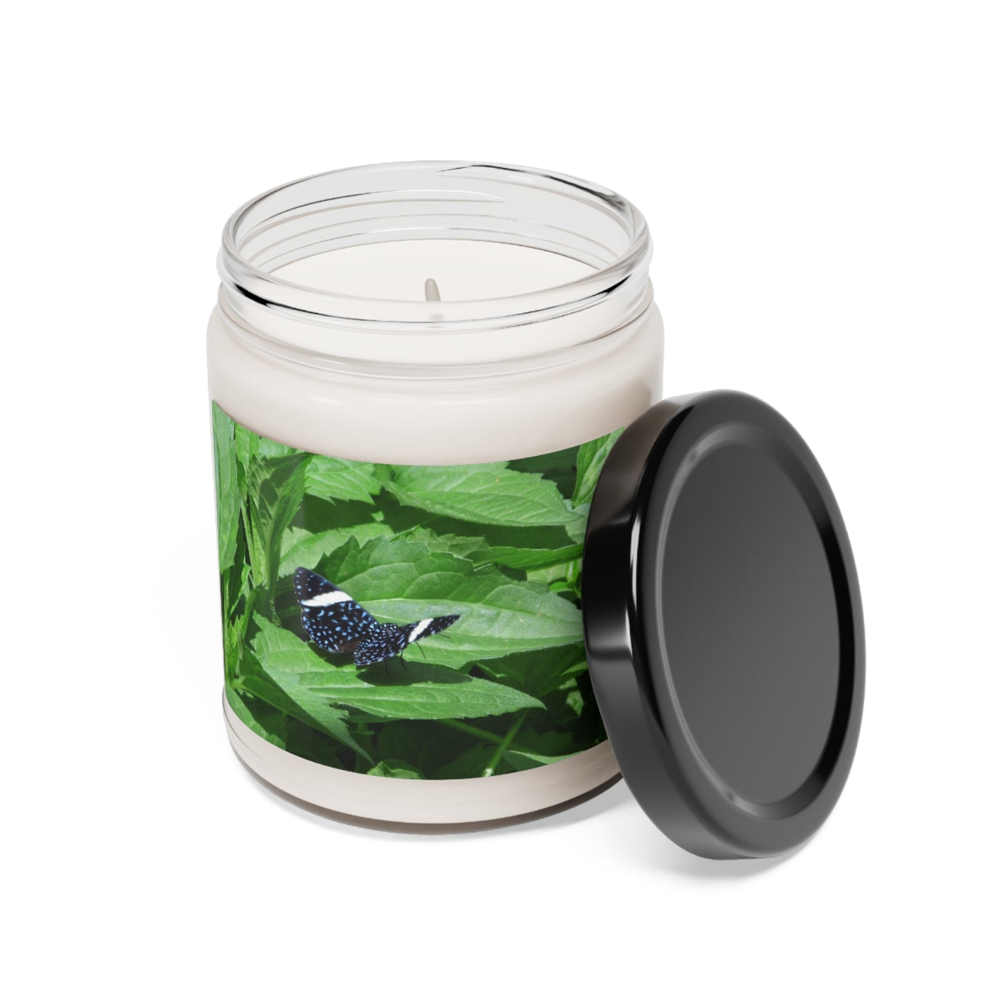 Sapphire Butterfly Scented Soy Candle, 9oz