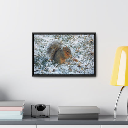 Winter Squirrel Gallery Canvas Wraps Framed