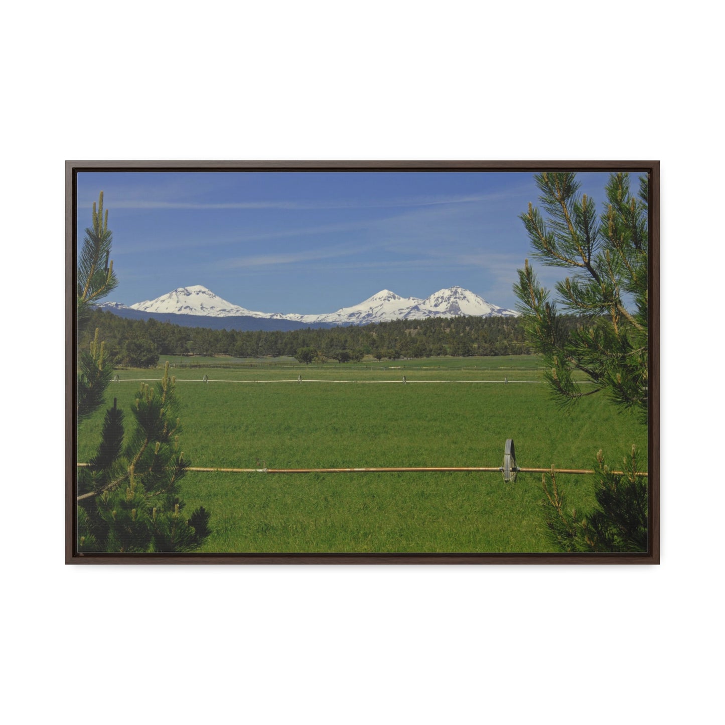 Mountain Pasture Gallery Canvas Wrap Framed