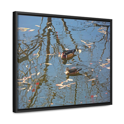 Wood Duck Couple Gallery Canvas Wraps Framed