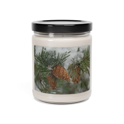 Snowy Fir Cones Scented Soy Candle, 9oz