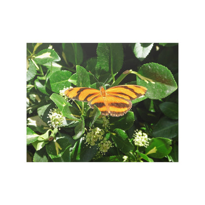 Golden Butterfly Satin Posters