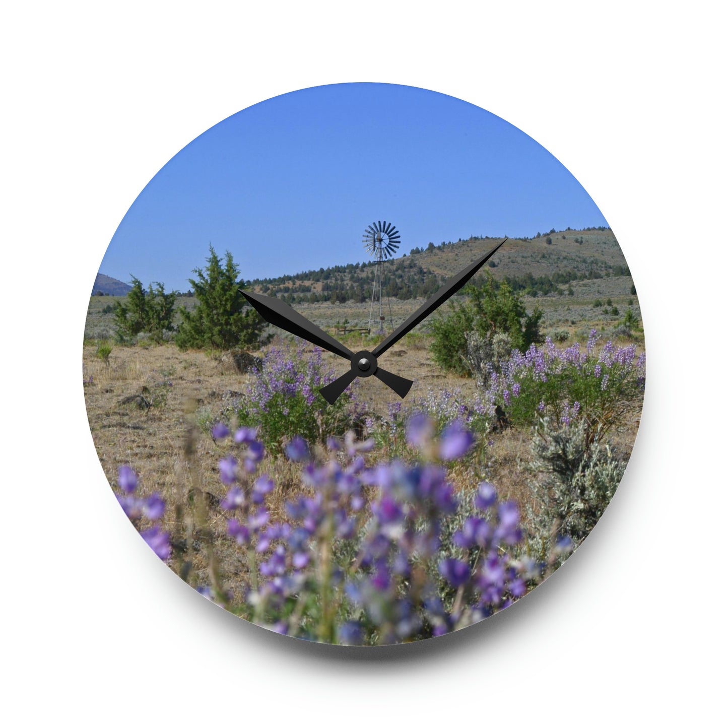 High Desert Lupine & Windmill Acrylic Wall Clock
