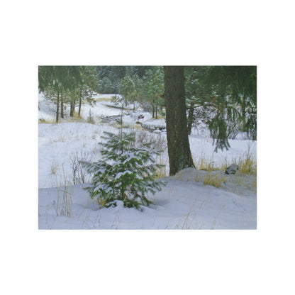 Christmas Tree Creek Satin Posters