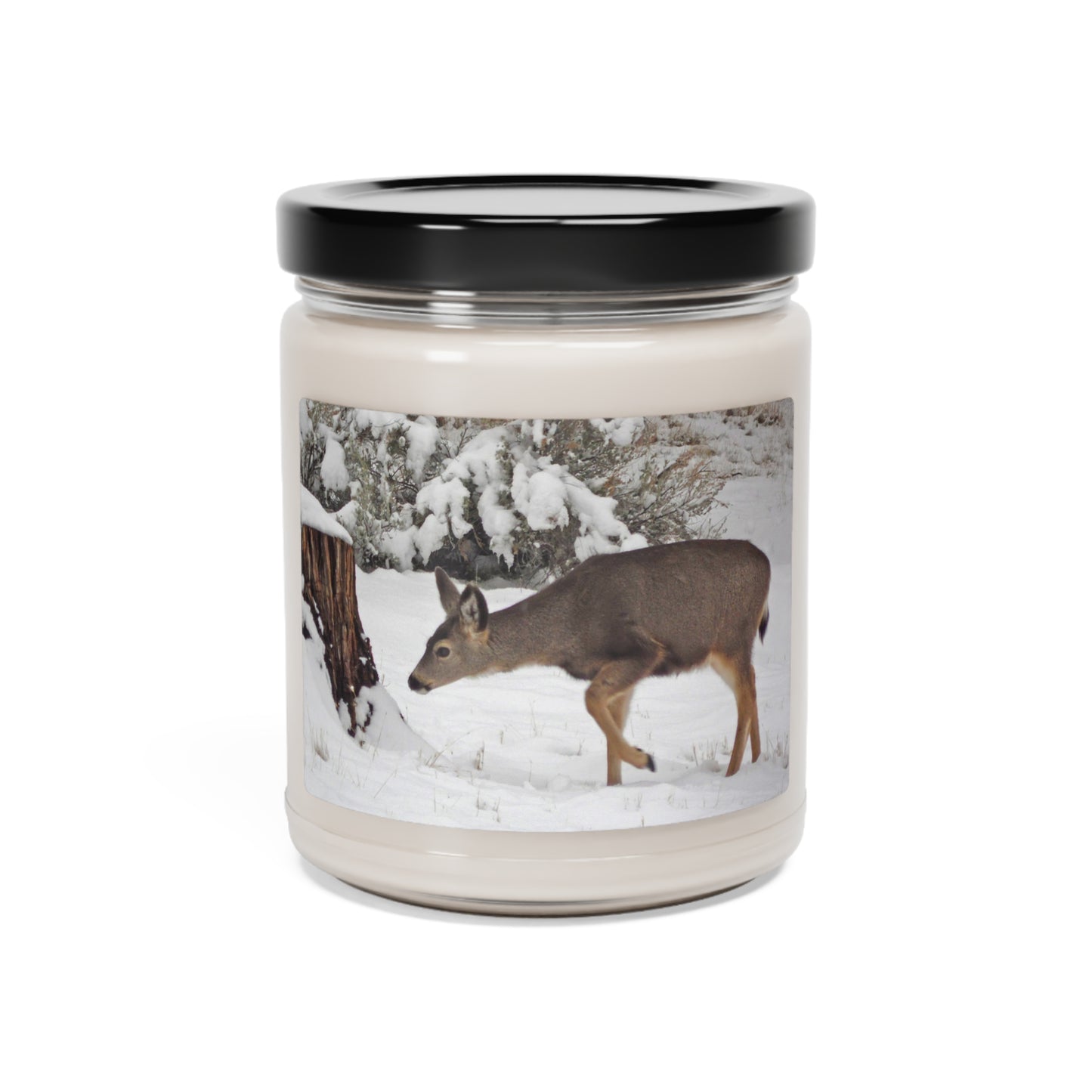 Winter Deer Scented Soy Candle, 9oz